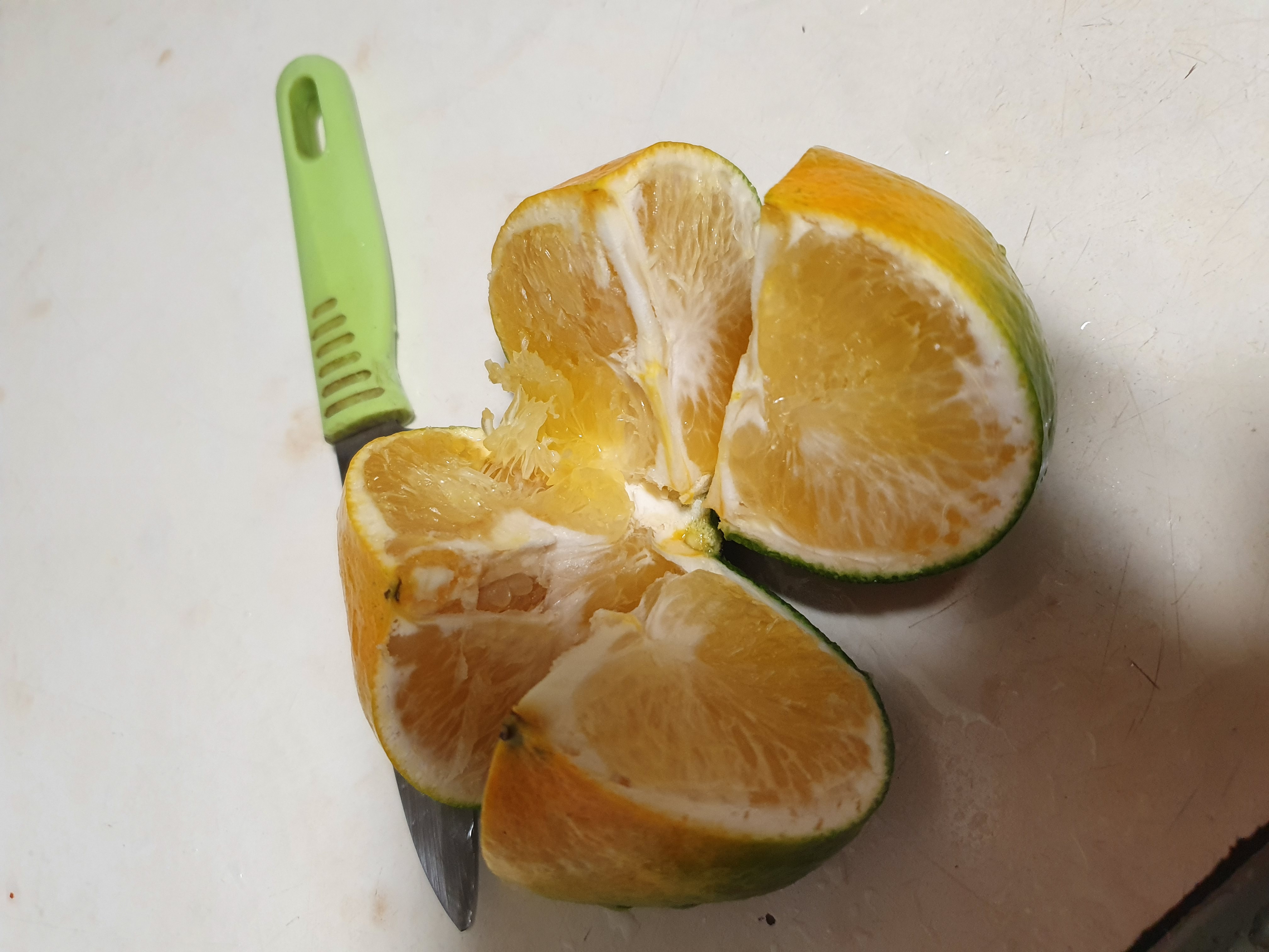 레드향 붕소결핍인가요?