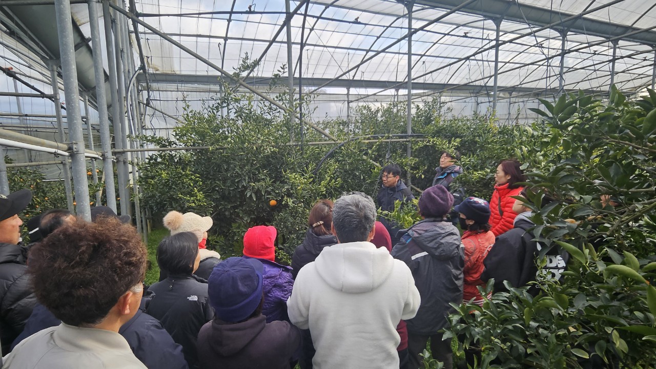 감귤류 정지전정교육(2.18 고산농협)