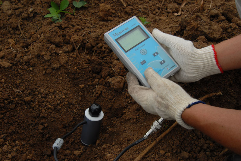 농작물 가뭄 대비 토양수분 조사