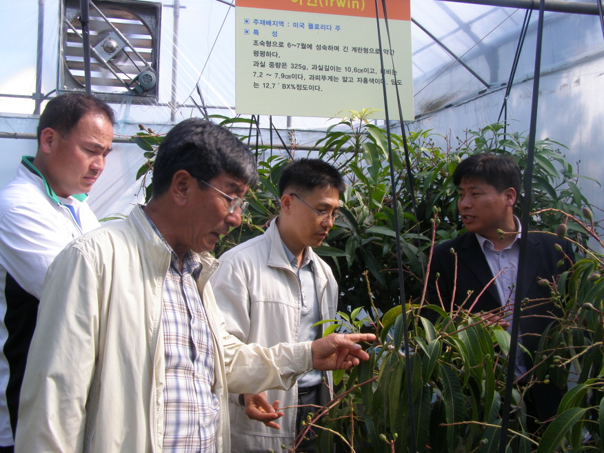 망고 재배기술교육 (5. 26)