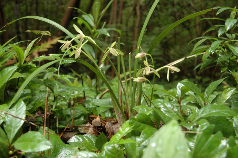 김석만 연구사님 고맙습니다.
