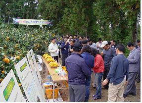 「상도조생」 이용촉진사업 현장 연찬회 개최결과