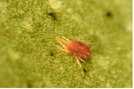 향토음식자원화 역량개발교육(10.7)