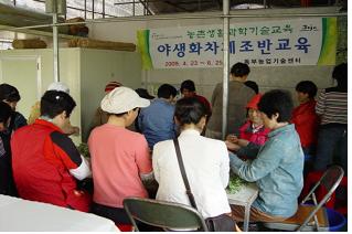 야생화차제조반교육