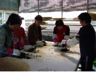 야생화차제조반교육