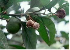 우리농업 바로알기 (7. 8)