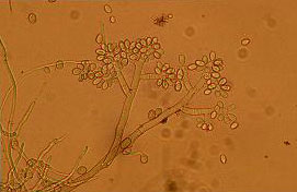 우리농업 바로알기 (7. 8)