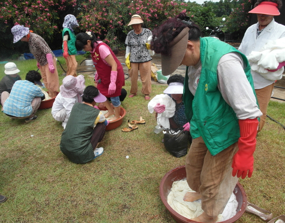 여성농업인 천연염색 교육 추진