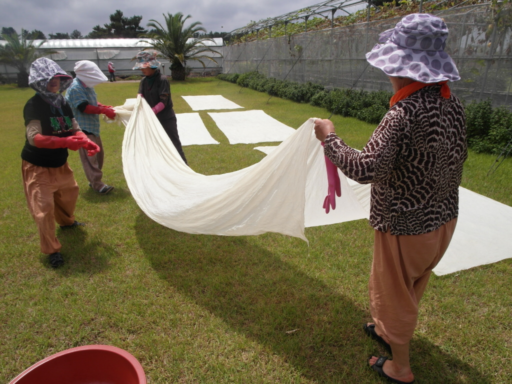 여성농업인 천연염색 교육 추진