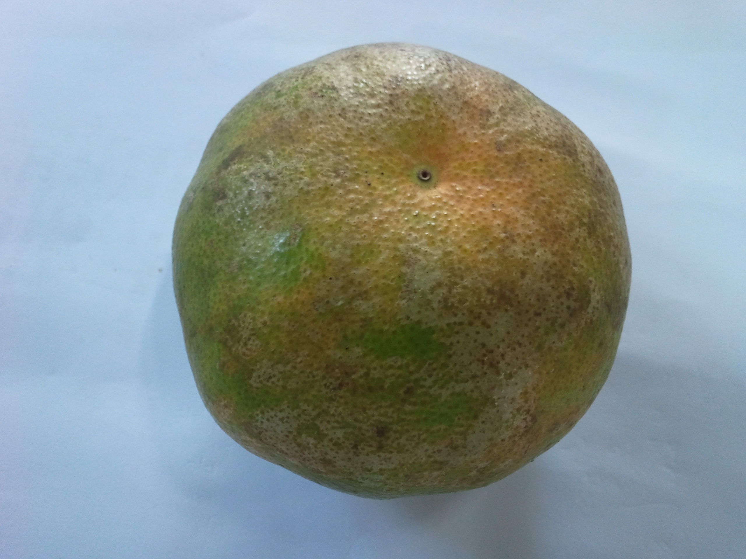 어떤 피해증상 인가요