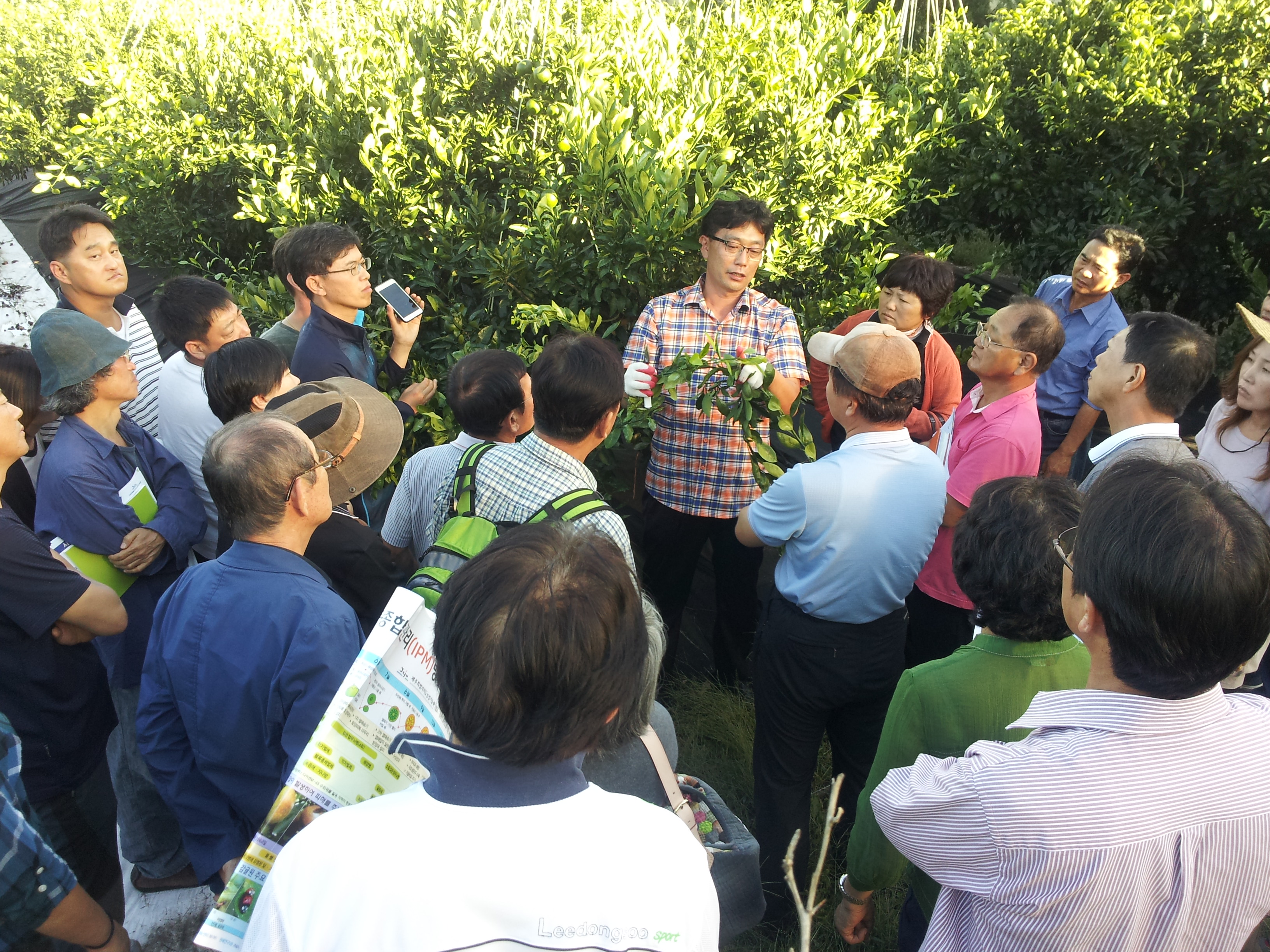 귀농귀촌(감귤기초반)교육