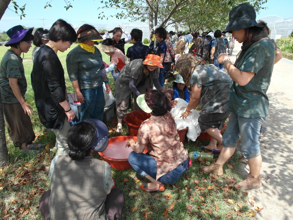 생활개선한림읍연합회 천연염색 교육