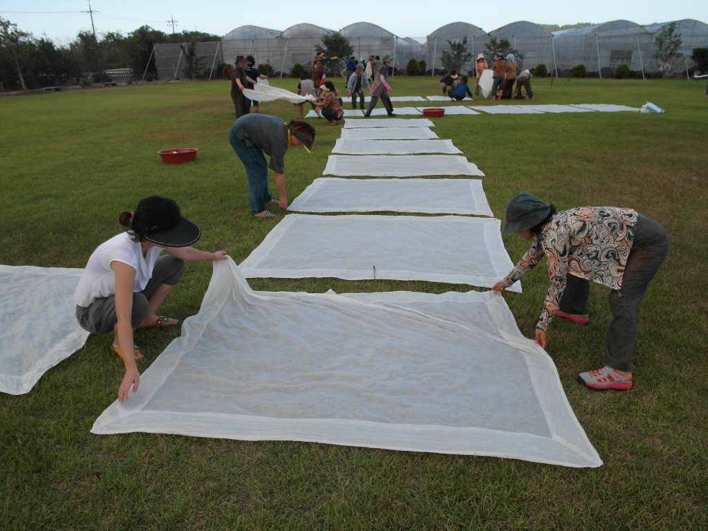 생활개선한림읍연합회 천연염색 교육
