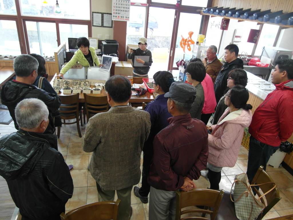 농촌체험 프로그램 운영기술 교육 추진(대정 신도)