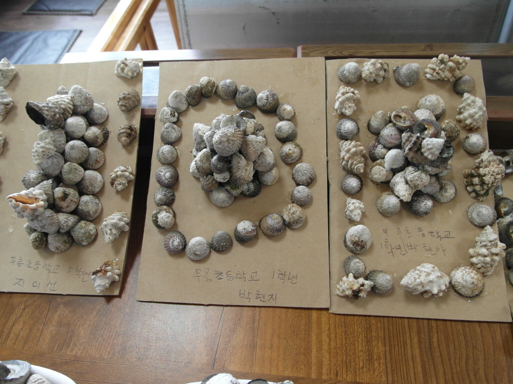 농촌체험 프로그램 운영기술 교육 추진(대정 신도)