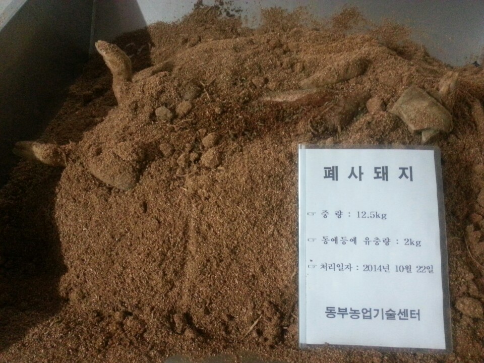 등애등애 유충 이용 폐사가축 처리 실증