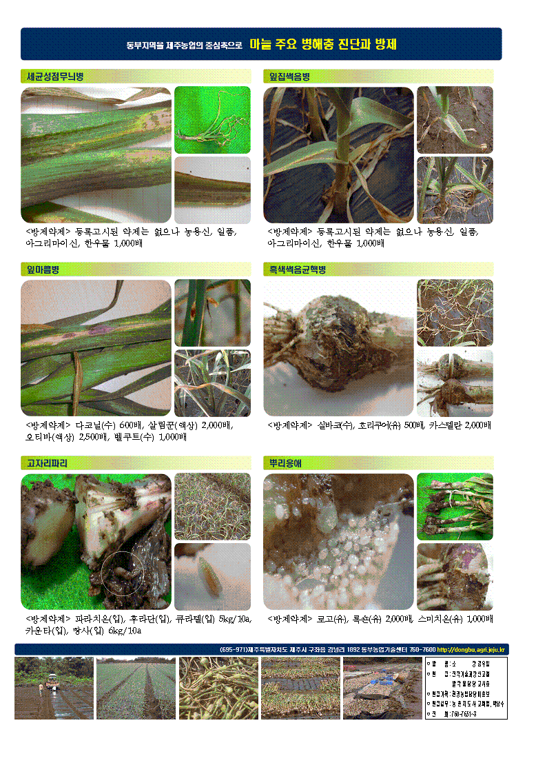 마늘, 쪽파 병해충 방제 포스터 배부 신청