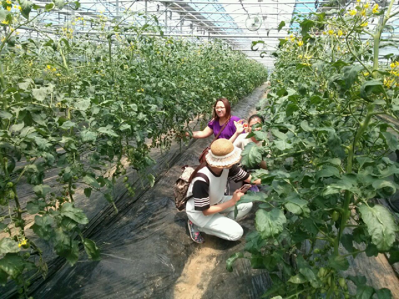 결혼이주여성 육성을 위한 멘토멘티 간담회 및 주요작물 재배기술 교육