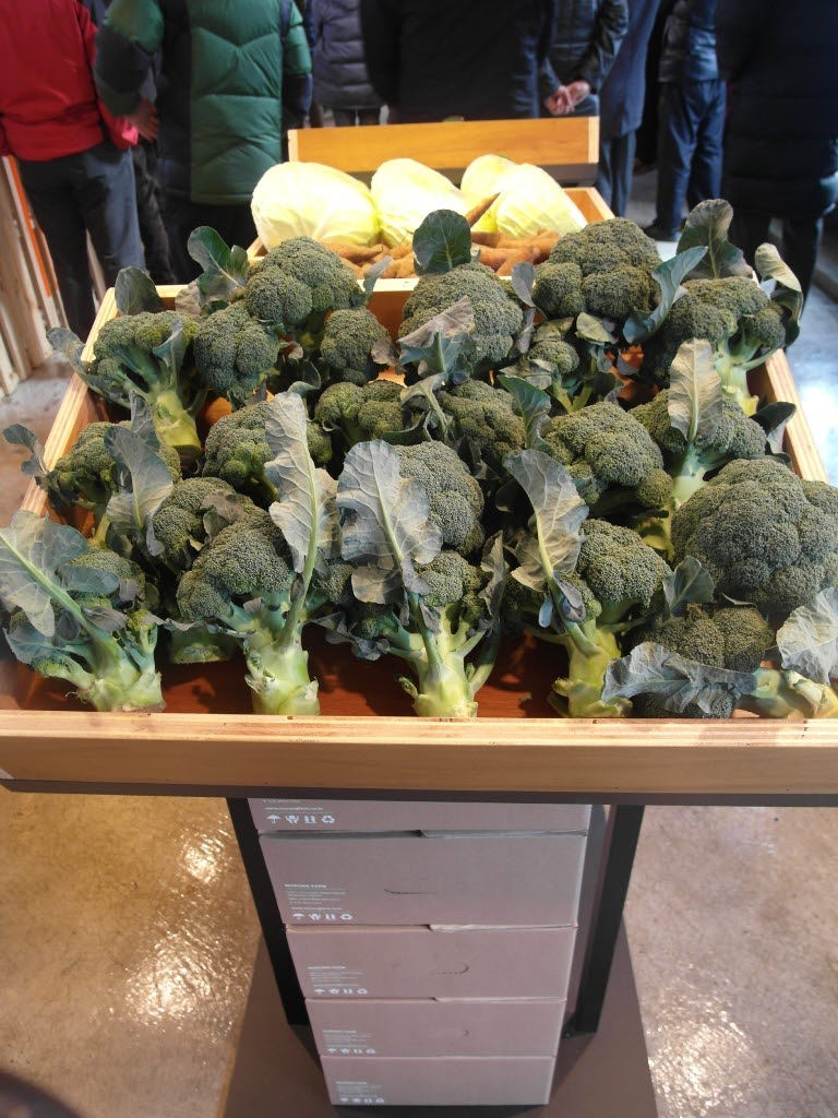 무릉 외갓집 사무실 개관식