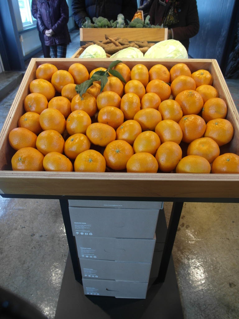 무릉 외갓집 사무실 개관식