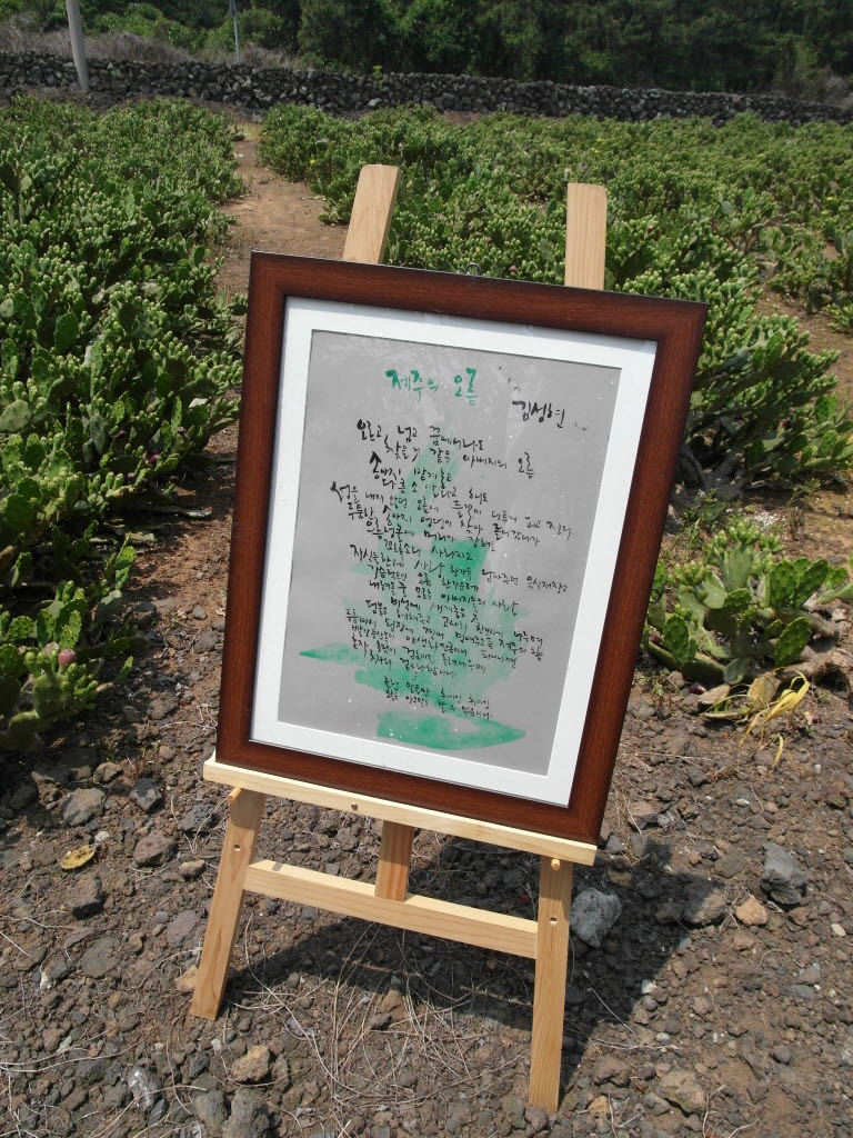 소비자 농업농촌 체험 백년초 페스티벌 - 문화 체험