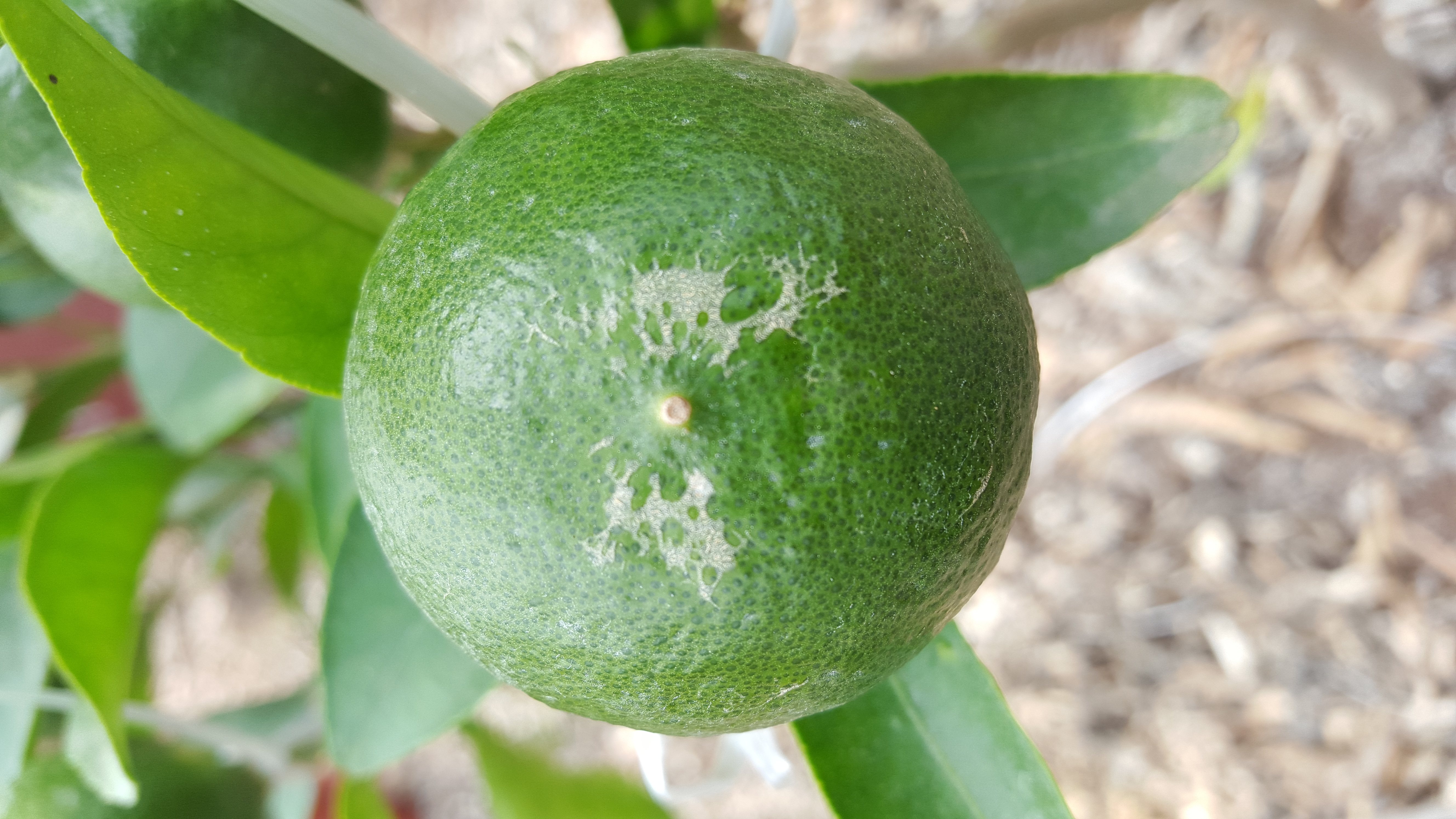 원인 및 대책 문의