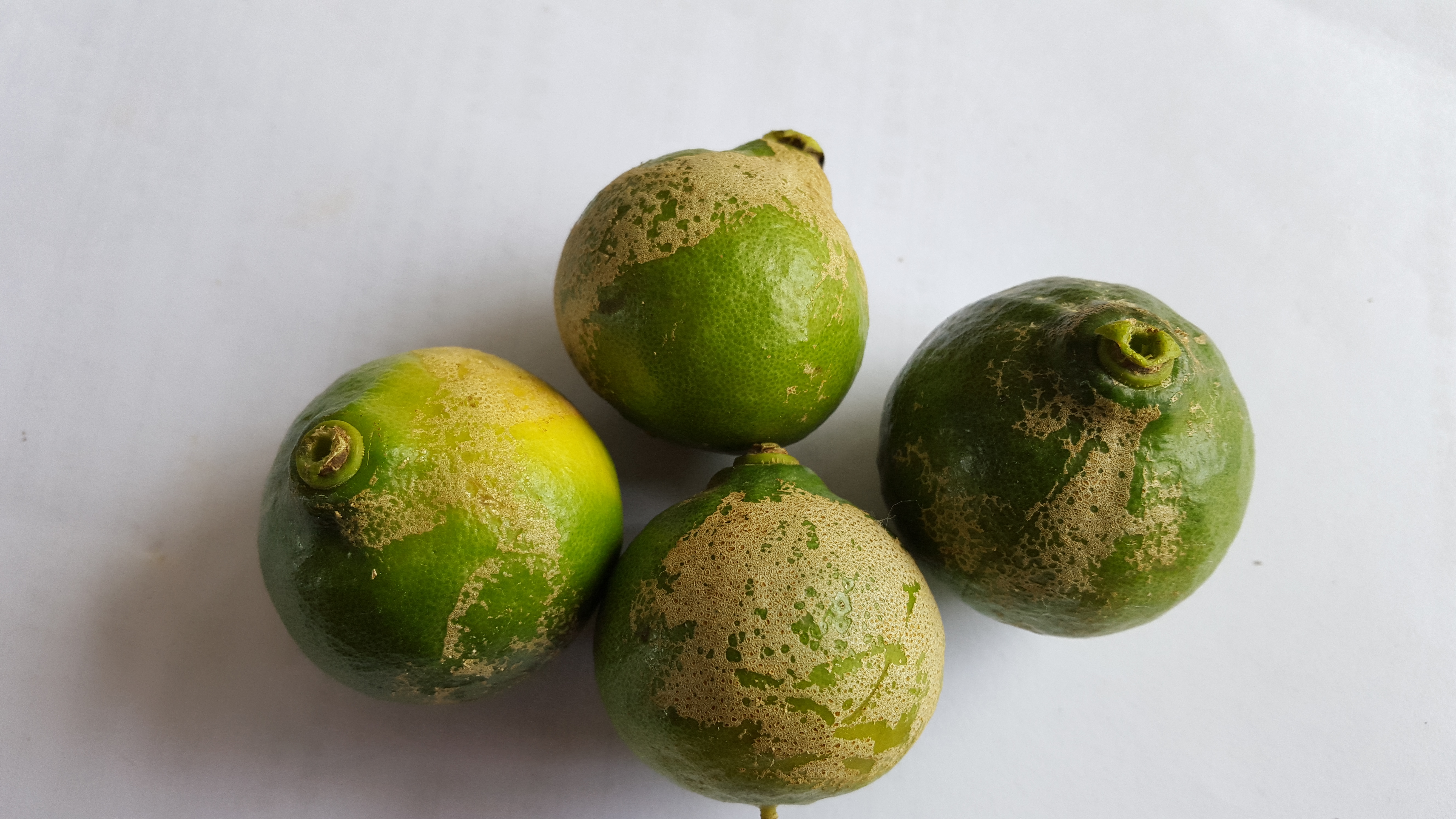 원인 및 대책 문의