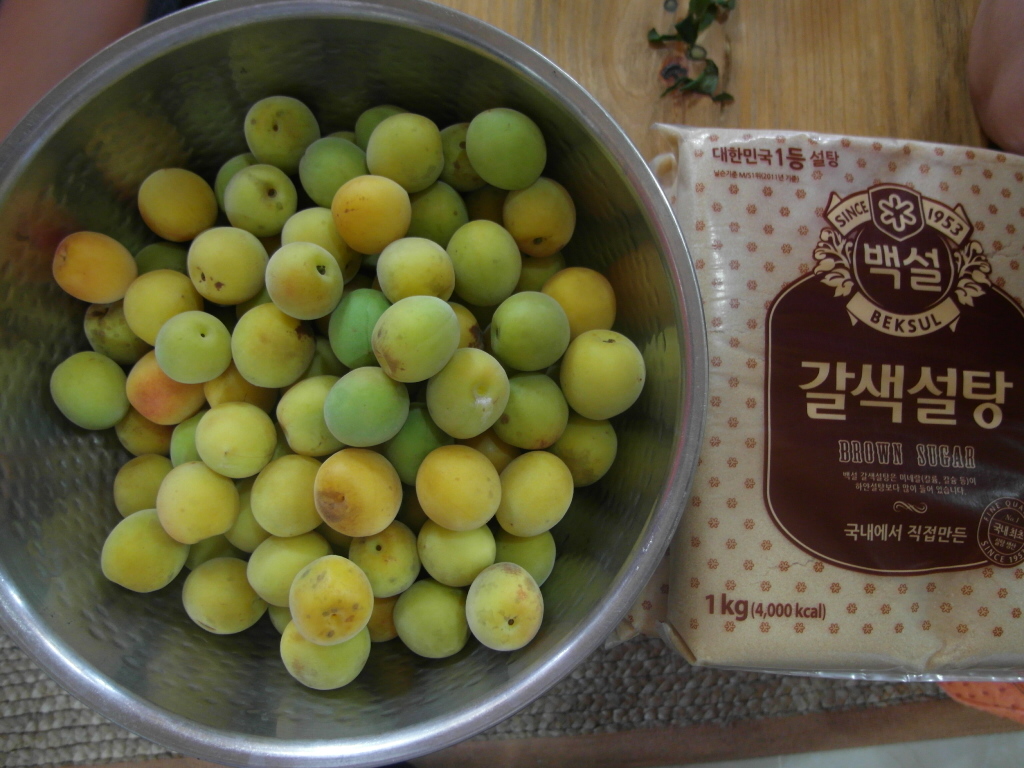 생활개선안덕면연합회 능력개발 교육