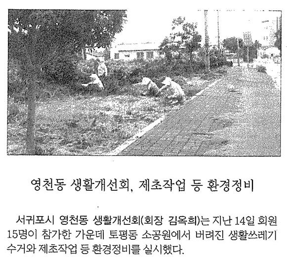 영천동생활개선회제초작업등환경정비(제주매일.2013.06.15)