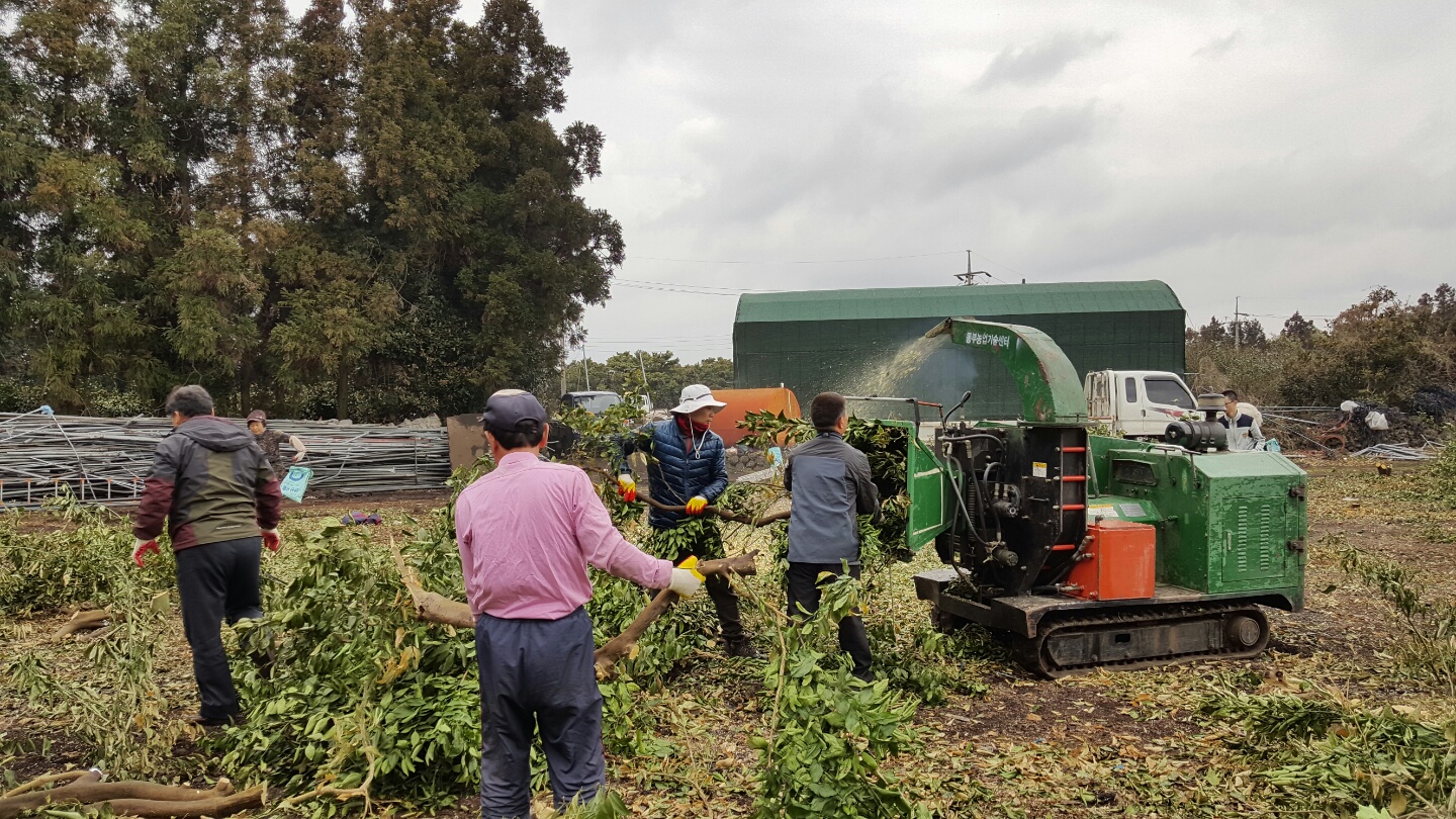 지난 1월 폭설 한파에 따른 피해농가 일손 돕기