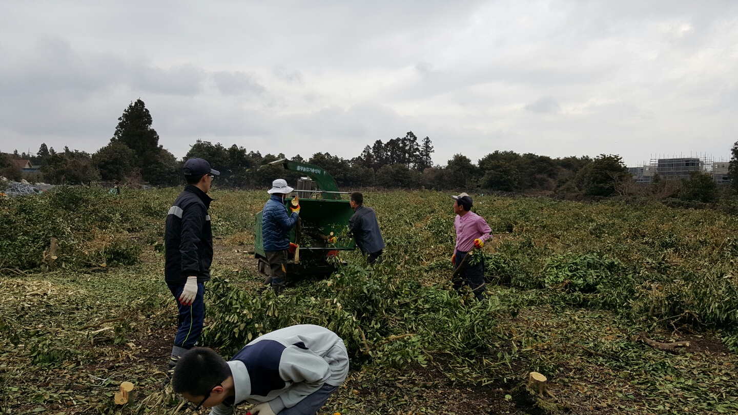 지난 1월 폭설 한파에 따른 피해농가 일손 돕기