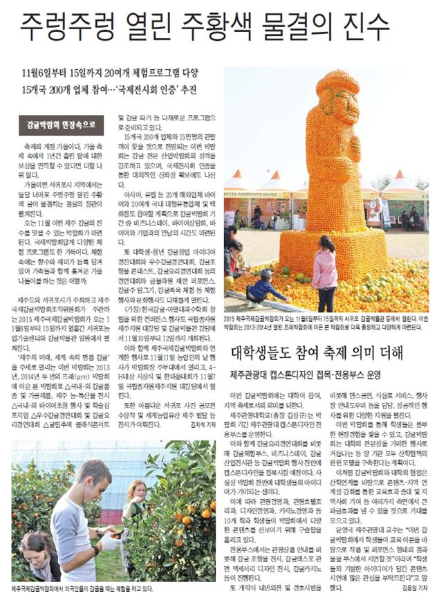 주렁주렁 열린 주황색 물결의 진수 [제민일보-2015.10.2.]