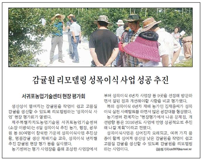 감귤원 리모델링 성목이식 사업 성공추진 [제주매일-2015.8.7.]