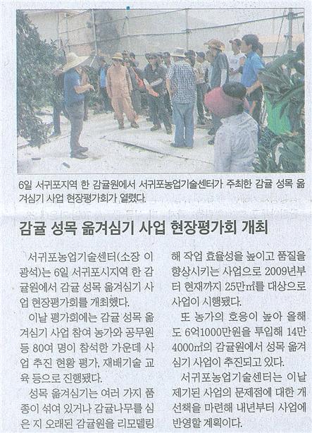 감귤 성목 옮겨심기 사업 현장평가회 개최 [제주일보-2015.8.7.]