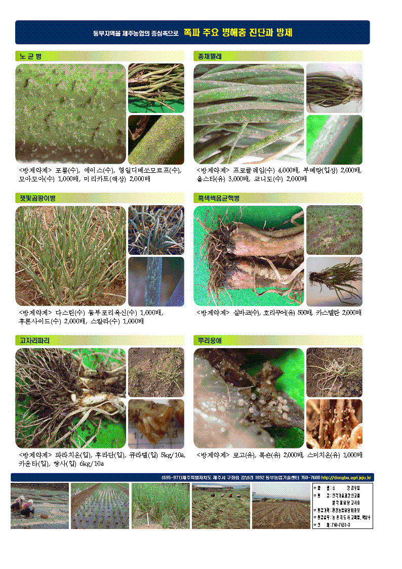 마늘, 쪽파 병해충 방제 포스터 배부 신청