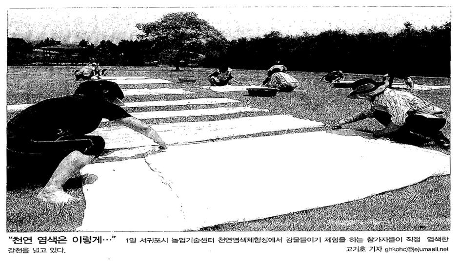 천연염색은이렇게(제주매일.2013.08.02)