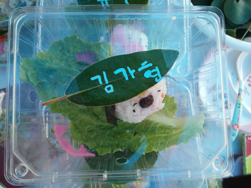 소비자 농업농촌 체험 백년초 페스티벌 - 음식 및 가공, 공예 체험