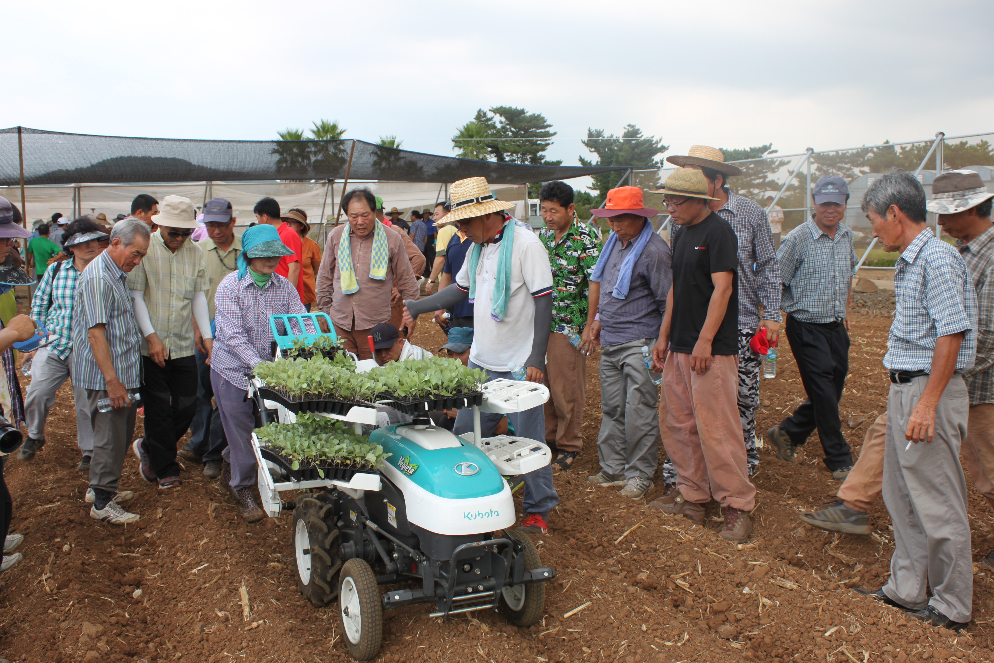 채소정식기 현장실습(기계화촉진) 교육