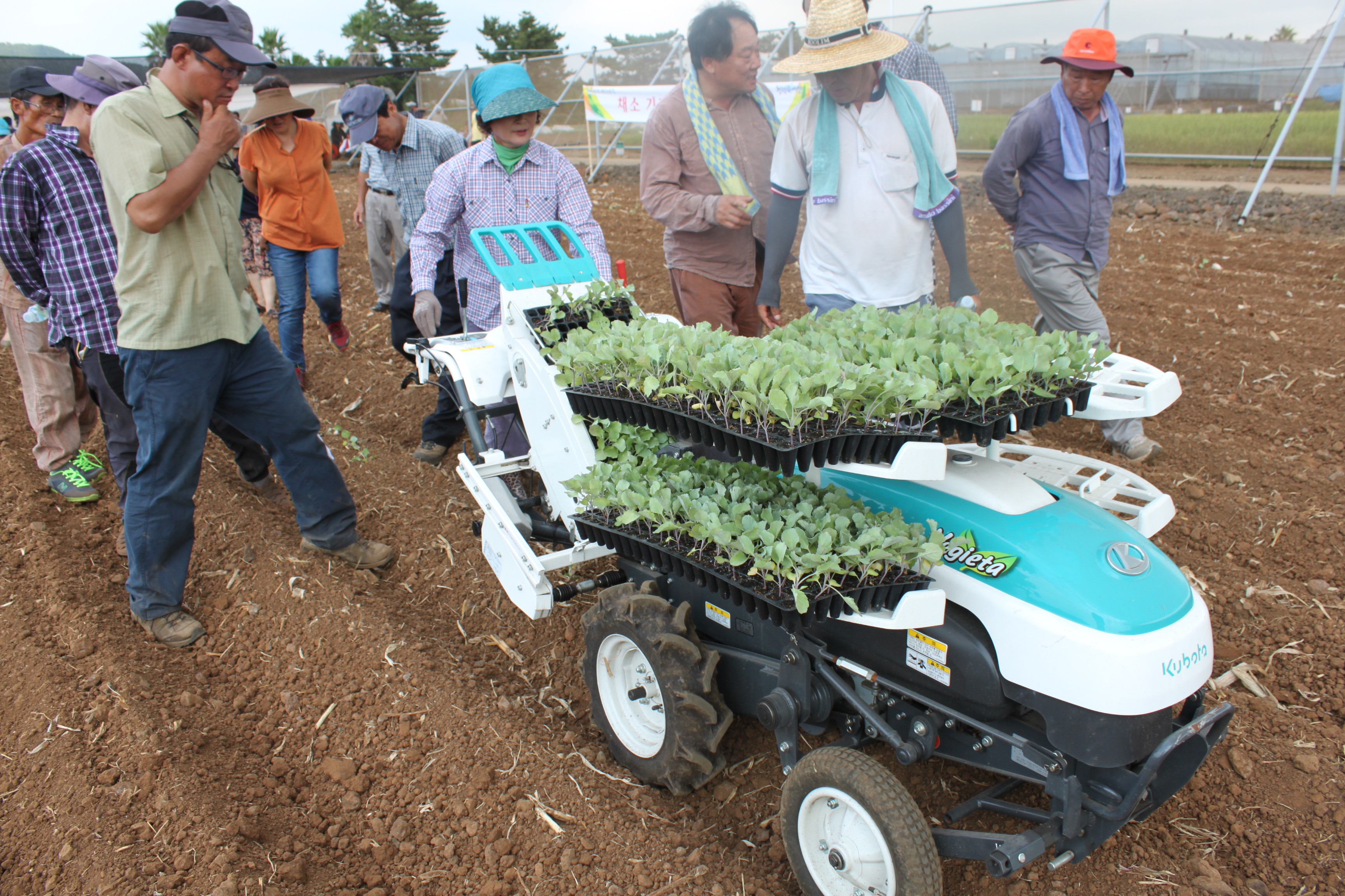채소정식기 현장실습(기계화촉진) 교육