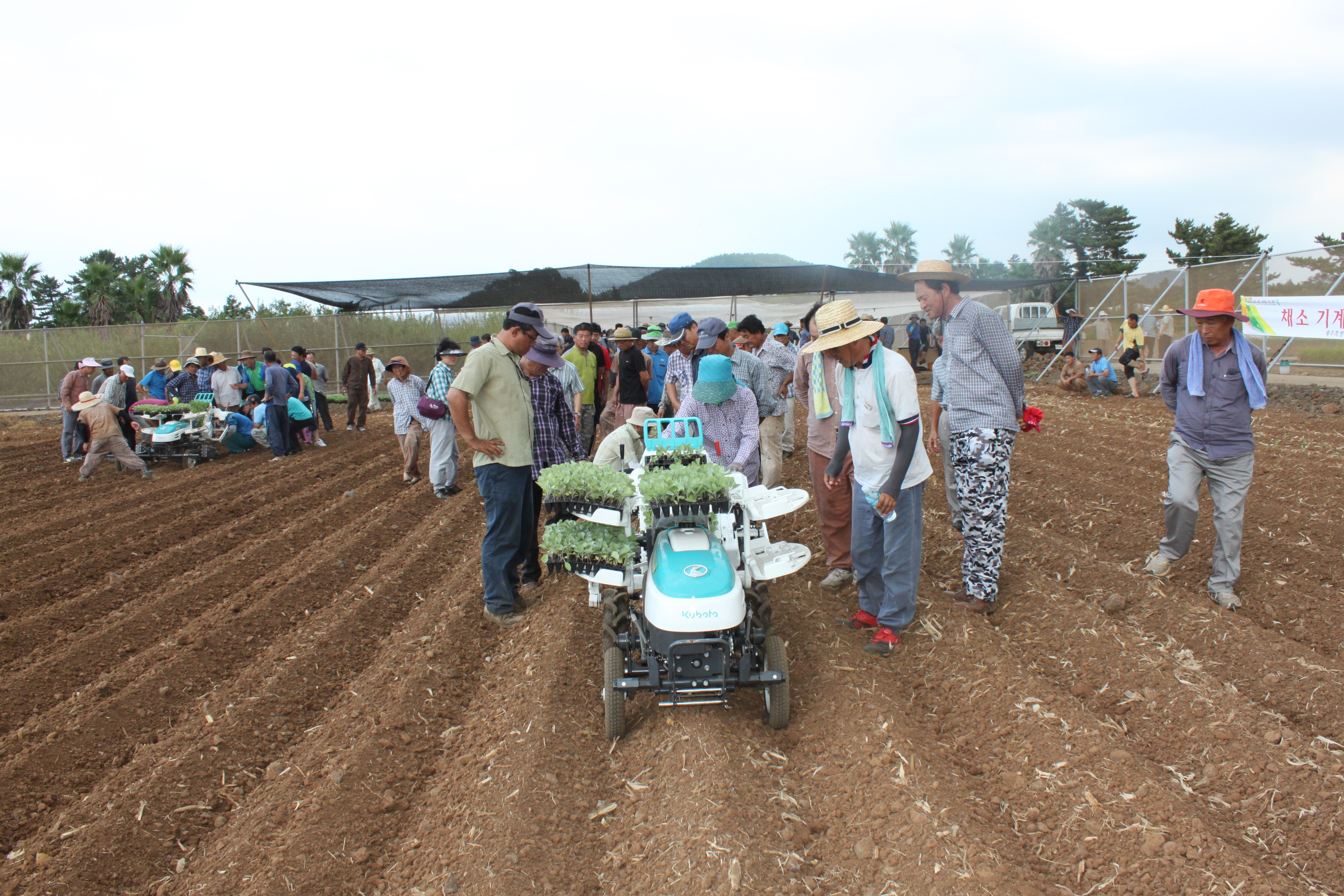 채소정식기 현장실습(기계화촉진) 교육