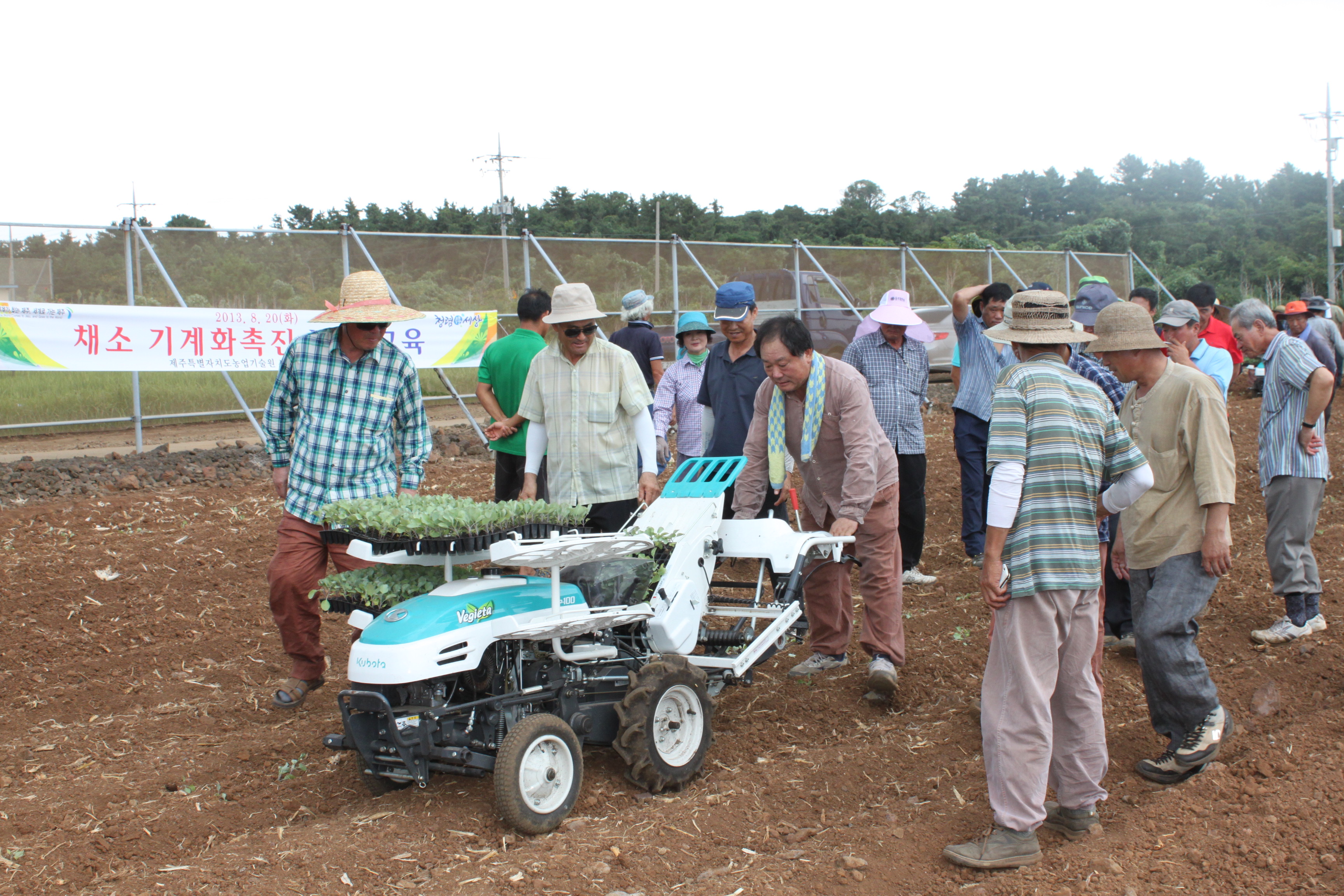 채소정식기 현장실습(기계화촉진) 교육