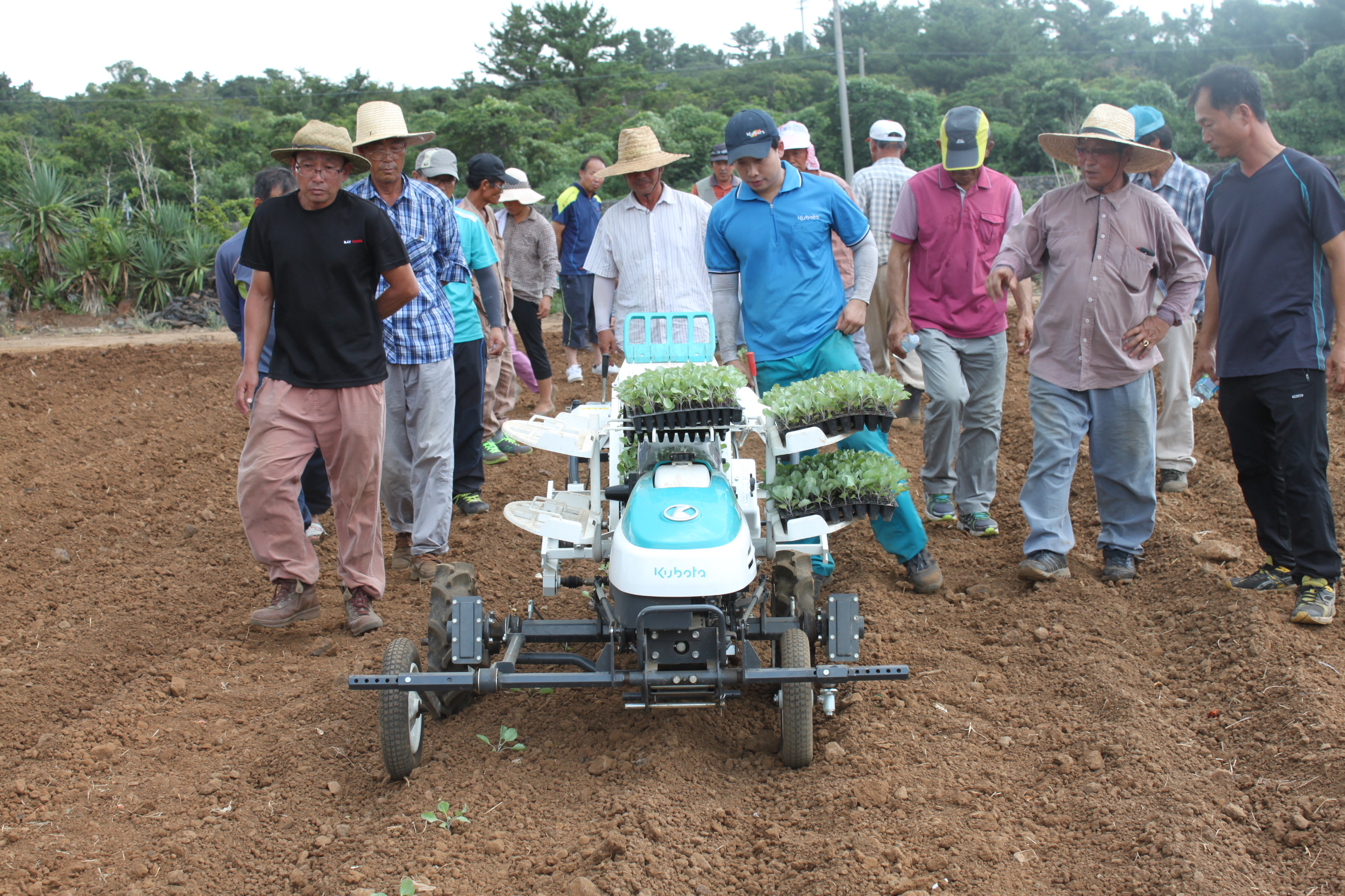 채소정식기 현장실습(기계화촉진) 교육