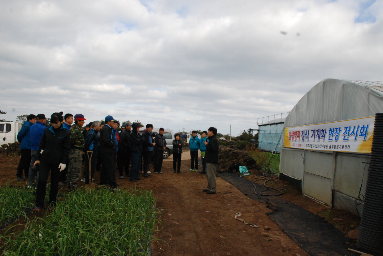 만생양파 정식기 시연회 현장
