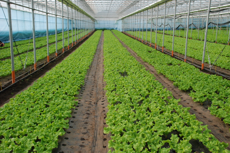 2012 농촌지도사업 종합평가회 현장 2