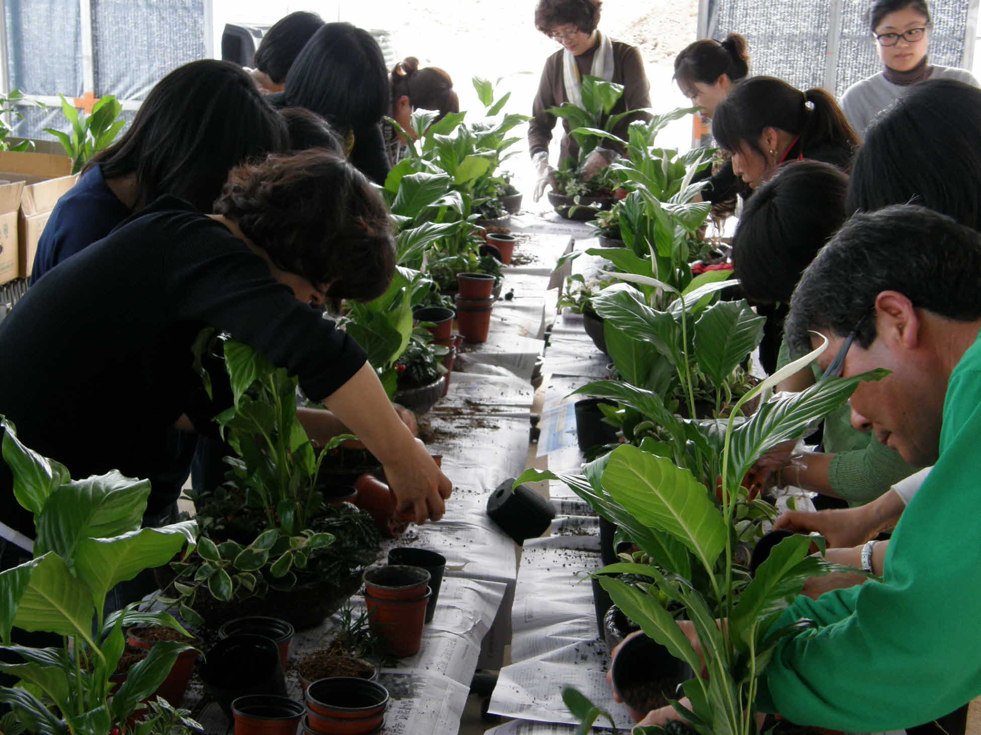 09년 가정원예생활화활동