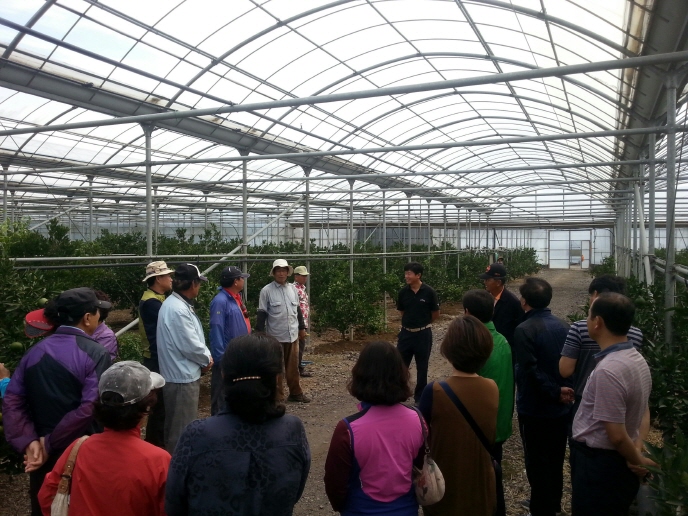  품목별농업인연구회(천혜향) 도내견학
