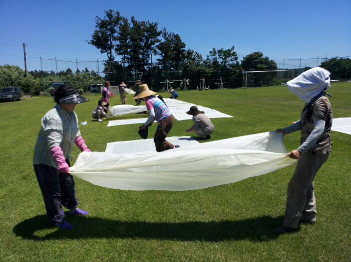 구좌읍 생활개선회 교육