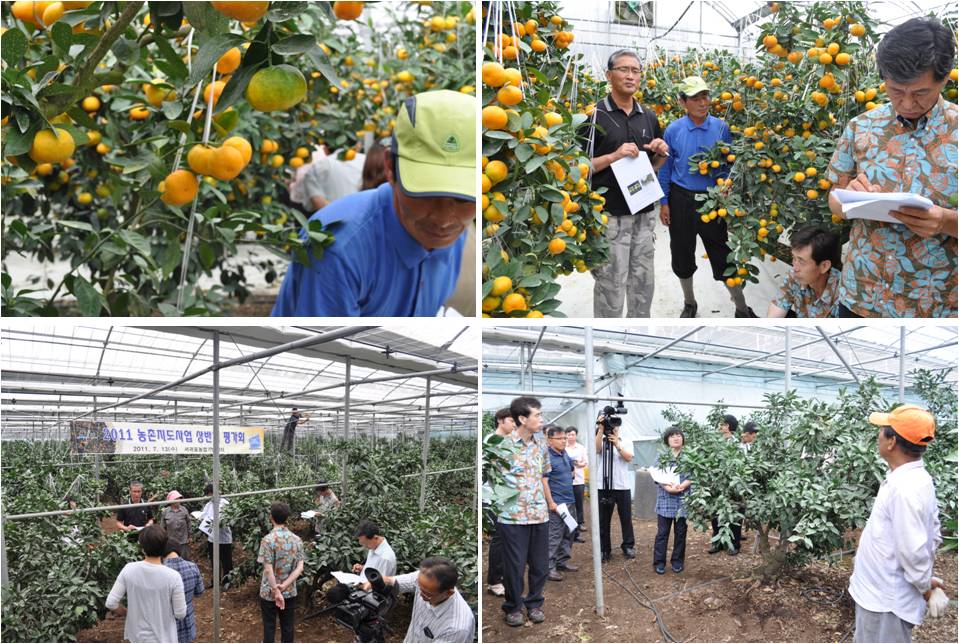 농촌지도사업 중간평가회(2011.7.13)