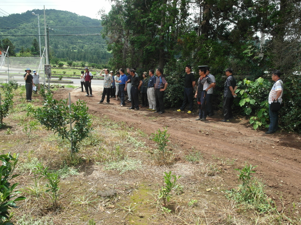 2013년 농촌지도사업 상반기 평가회 개최