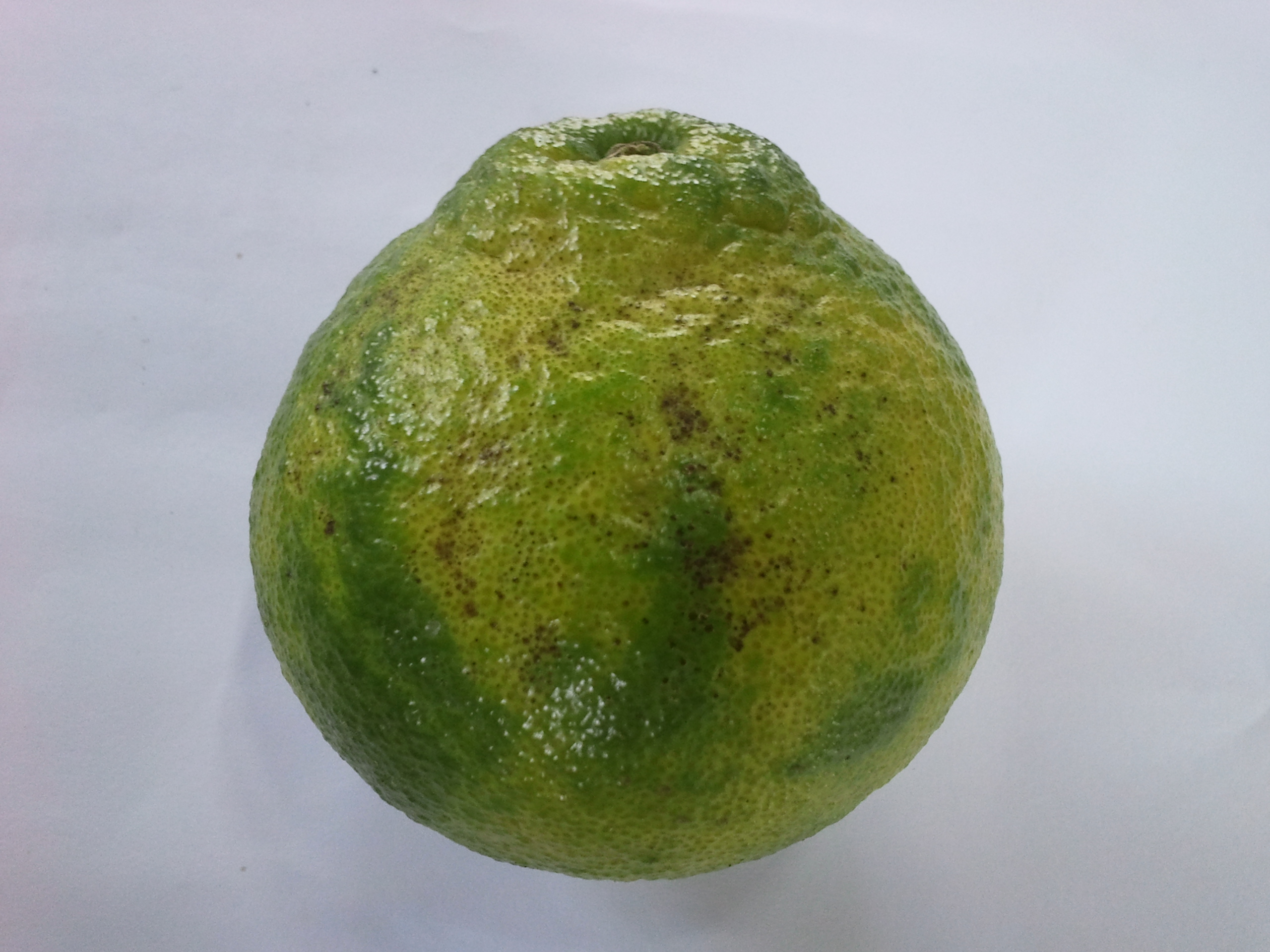 사진을 다못올려서..